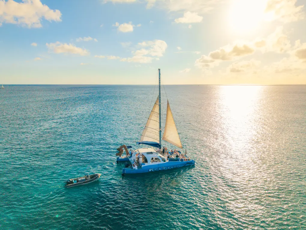 Delphi_aruba_website_